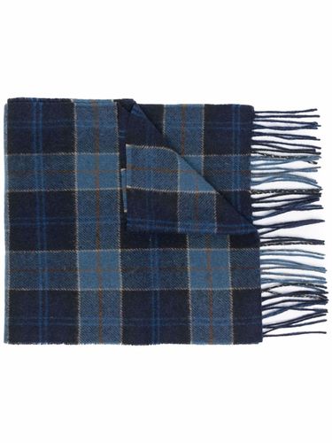 BARBOUR - Tartan Lambswool Scarf - Barbour - Modalova