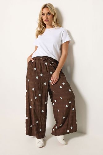 Pantalon Marron Chocolat À Pois Size 58-60 - Yours - Modalova