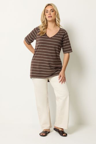 Tshirt Marron Chocolat À Rayures Size 42 - Yours - Modalova