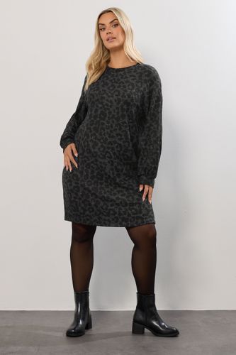 Robe Pull Douce Au Toucher À Motif Léopard Gris Size 42 - Yours - Modalova