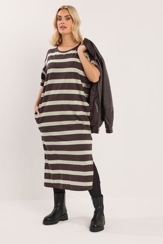 Robetshirt Midaxi Marron À Rayures Oversize Size 46 - Yours - Modalova