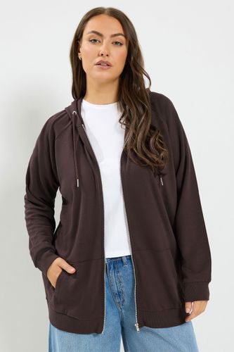 Sweat À Capuche Zippé Marron Chocolat Size 46 - Yours - Modalova
