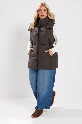 Doudoune Sans Manches Courte Marron Chocolat Size 42 - Yours - Modalova