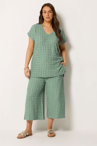 Tshirt Texturé Façon Bulles Vert Sauge Size 46 - Yours - Modalova