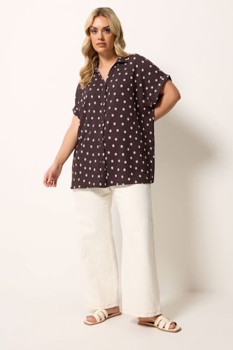 Chemise Marron Chocolat À Pois Size 44 - Yours - Modalova