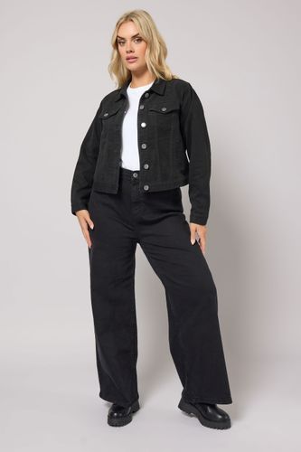 Mini Veste En Jean Noire Size 46 - Yours - Modalova
