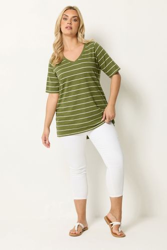 Tshirt À Rayures Vert Kaki Size 46 - Yours - Modalova