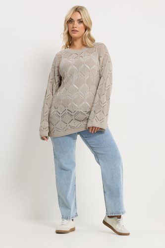 Pull Marron Beige En Maille Pointelle Size 46-48 - Yours - Modalova