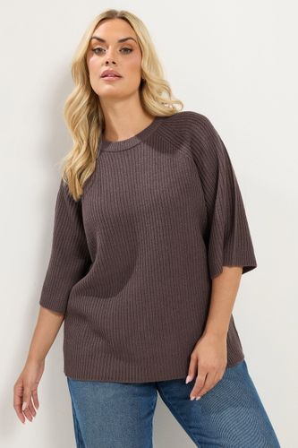 Pull En Maille À Col Rond Marron Chocolat Size 42-44 - Yours - Modalova
