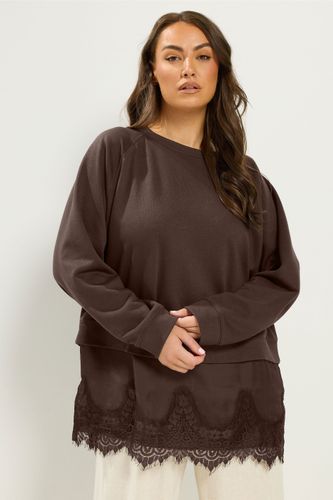 Pull 2 En 1 Marron Chocolat En Dentelle Size 44 - Yours - Modalova