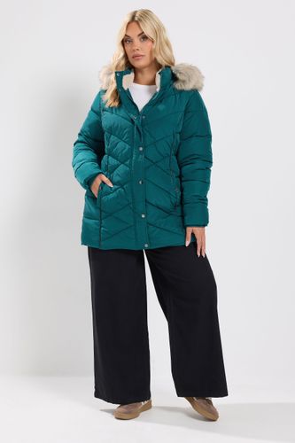 Manteau Court Matelassé Vert Sarcelle Size 50-52 - Yours - Modalova