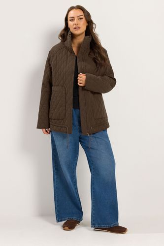 Veste Matelassée Légère Marron Chocolat Size 46 - Yours - Modalova