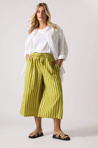 Culotte Midaxi À Rayures Vert Citron Size 44 - Yours - Modalova