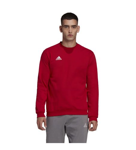 HB0577 Sweat-shirt Entrada 22 (XL), Sport, Running, Multisport, Polister recyclé - adidas - Modalova