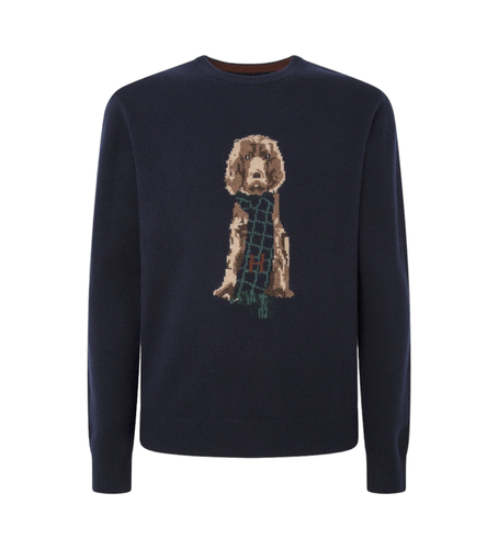 HM703259 Pull Harry Intarsia (S), Casuel, Laine - Hackett London - Modalova