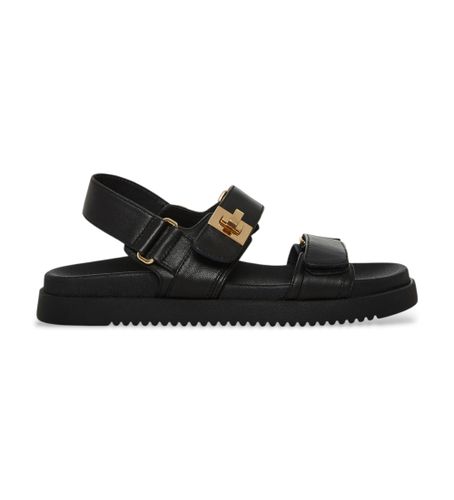 Til kvinder. SM11002535 Sandaler Mona (36), Fast, 1-3 cm, Spænder, Casual - Steve Madden - Modalova