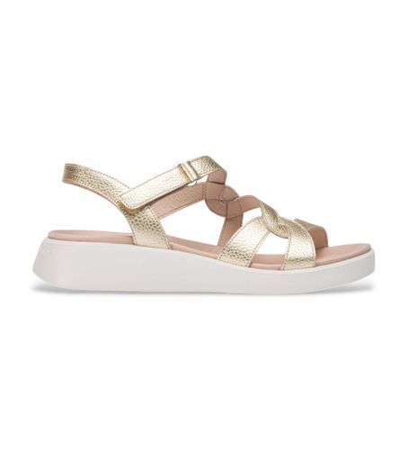 Til kvinder. C-6541 Gyldne Cordelia-sandaler i (36), Guldfarvet, 1-3 cm, Velcro, Casual - Wonders - Modalova