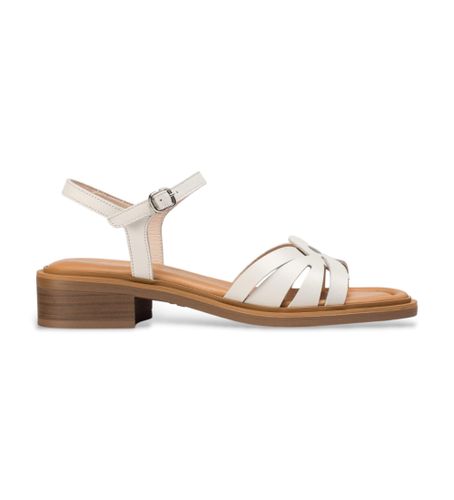 Til kvinder. B-9601 Sandaler i Giovanna (36), 1-3 cm, Spænder, Casual - Wonders - Modalova