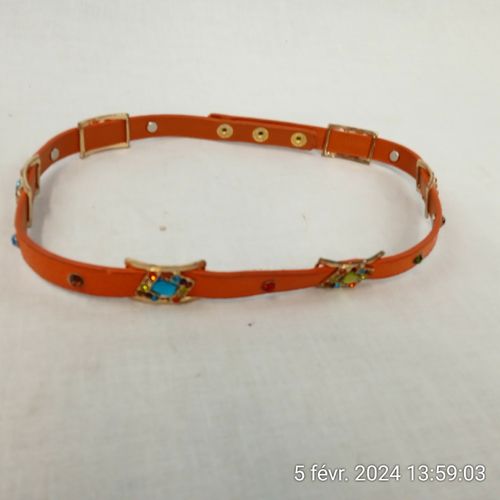 Bracelet / Collier de luxe pour chien - Label Emmaus - Modalova