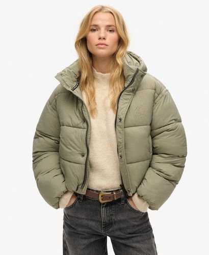 Women's Kurze Cocoon Steppjacke - Größe: 44 - Xmas deals - Superdry - Modalova