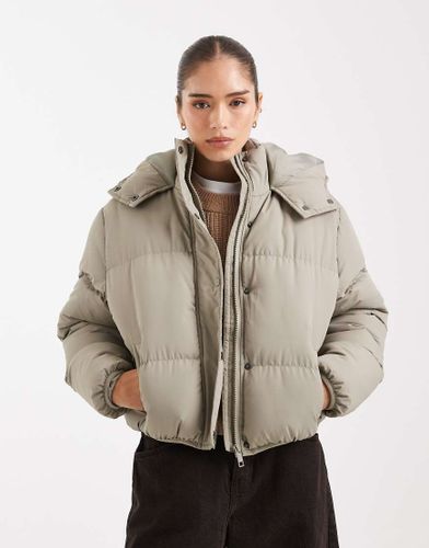 Doudoune courte  capuche - sauge - Brave Soul - Modalova