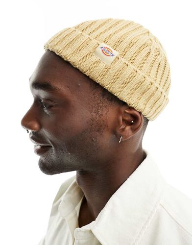 Garnett - Bonnet style pêcheur - Beige - Dickies - Modalova