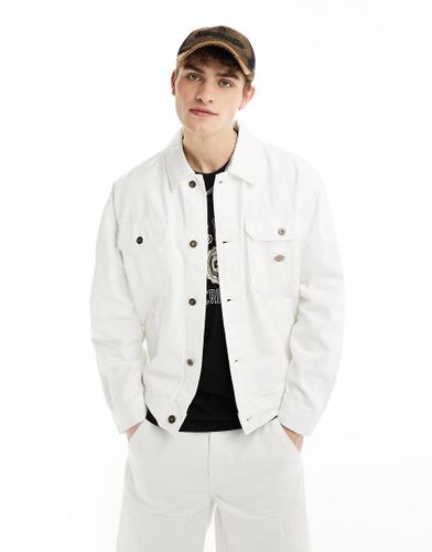 Dickies - Madison - Veste - Blanc - Dickies - Modalova