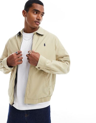 Blouson teddy best sale ralph lauren