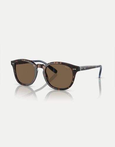 Ph4206 Phantos - Lunettes de soleil avec verres marron - Havane foncé brillant - Ralph Lauren - Modalova