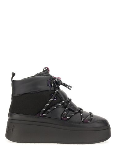 Ash montana boot - ash - Modalova