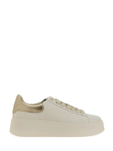 Ash "moby 02" sneaker - ash - Modalova