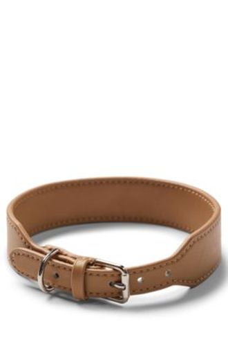 Collier pour chien en cuir recyclé - Boss - Modalova