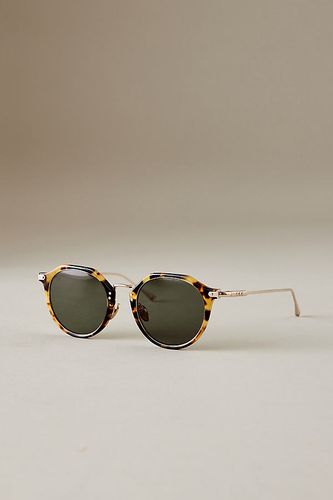 Lunettes de soleil Cambridge en Brown chez Anthropologie - Taylor Morris - Modalova