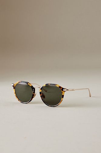 Lunettes de soleil Cambridge en Brown, chez Anthropologie - Taylor Morris - Modalova