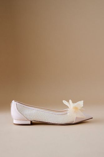 Ballerines Darcey en maille à bout pointu en Beige taille: F chez Anthropologie - Circus NY - Modalova