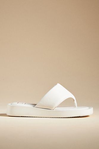 Izzie Toe-Strap Sandals en , taille: 37 chez Anthropologie - Matisse - Modalova