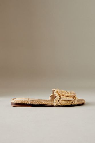 Bambi Buckle Slide Sandals en Beige taille: F chez Anthropologie - Sam Edelman - Modalova