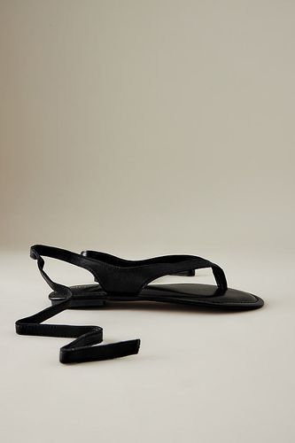 Suede Tie-Up Toe-Strap Sandals en , taille: 36 chez Anthropologie - Silent D - Modalova