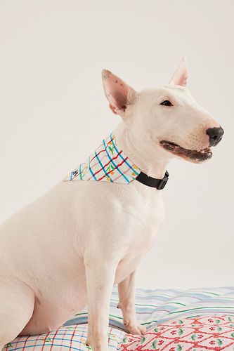 Foulard pour animal de compagnie à carreaux tulipe chez Anthropologie - Damson Madder - Modalova