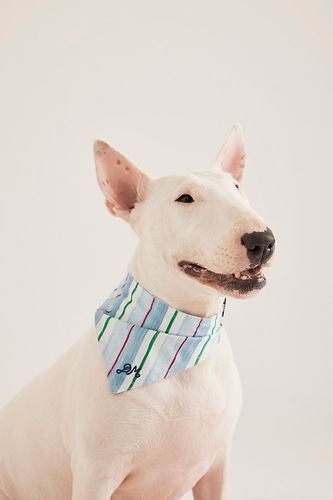 Foulard pour animal de compagnie à rayures en Blue chez Anthropologie - Damson Madder - Modalova