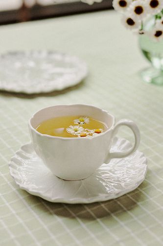 Ensemble tasse et soucoupe Lilypad en White chez - Anthropologie - Modalova