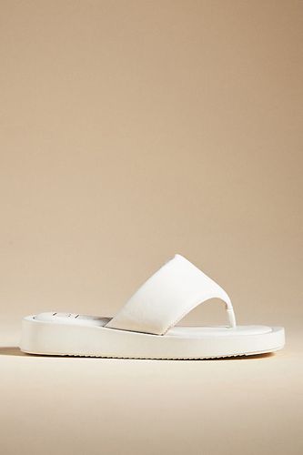 Izzie Toe-Strap Sandals en , taille: 38 chez Anthropologie - Matisse - Modalova