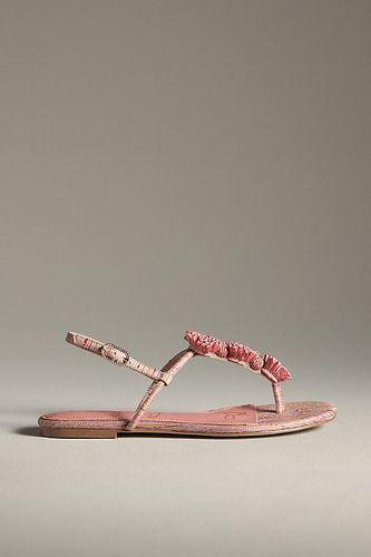 Sandales Tongs Tissées Eliza en taille: Uk 4 chez Anthropologie - Sam Edelman - Modalova