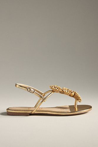 Sandales Tongs Tissées Eliza en Gold taille: Uk 4 chez Anthropologie - Sam Edelman - Modalova