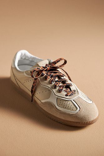 Lacets de Chaussures Imprimé Animal en chez - Anthropologie - Modalova