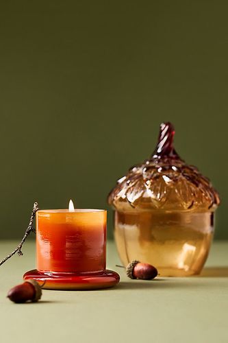 Bougie sous cloche en verre Acorn épices vanille clou de girofle en Brown taille: XS chez - Anthropologie - Modalova