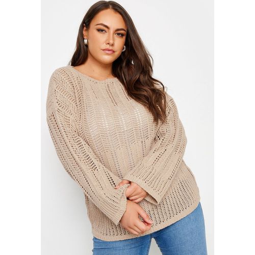 Curve Natural Brown Flared Sleeve Pointelle Jumper, Grande Taille & Courbes - Limited Collection - Modalova