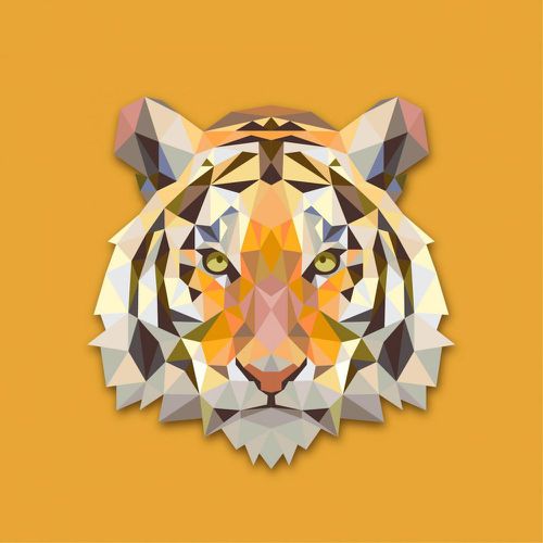 Tableau Animaux Tigre Orange 50X50 - 3S. x Home - Modalova