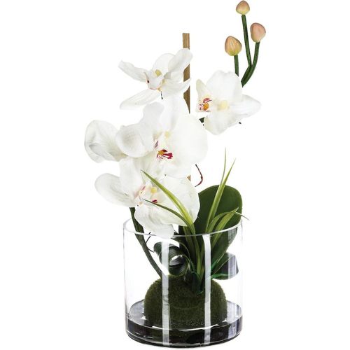 Composition orchidée en vase H37 blanc - 3S. x Home - Modalova