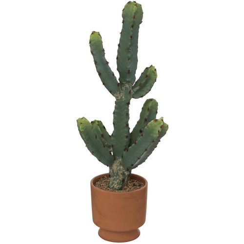 Cactus en pot Alicante terracotta H49cm - 3S. x Home - Modalova